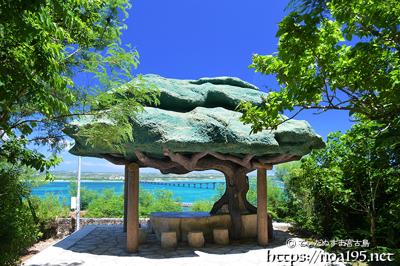 来間島の松の木展望台