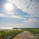 冬のさとうきび畑