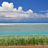 サトウキビ畑と青い海