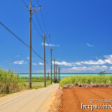 サトウキビ畑と海に続く道