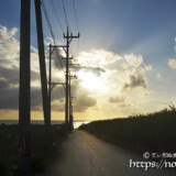 サトウキビ畑の中の一本道と輝く海