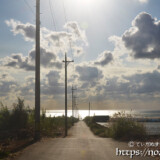 サトウキビ畑の中の一本道と輝く海