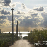 サトウキビ畑の中の一本道と輝く海