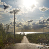 サトウキビ畑の中の一本道と輝く海