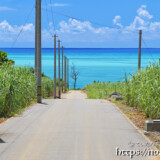 サトウキビ畑の中の一本道と青い海