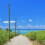 サトウキビ畑の中の一本道と青い海