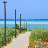 サトウキビ畑の中の一本道と青い海