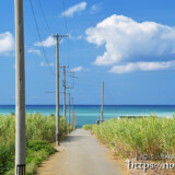 サトウキビ畑と海に続く道