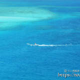 青い海を行く漁船