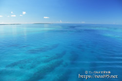 ベタ凪の青い海