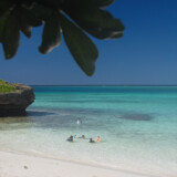 モンパの木陰から