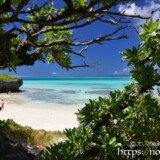 モンパの木陰から