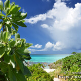 小道の先の青い海