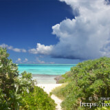 小道の先に見える青い海