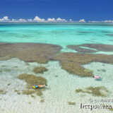 サンゴ礁の青い海