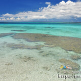 サンゴ礁の青い海