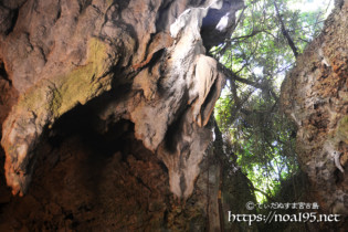 頭上の木々と鍾乳石-ヌドゥクビアブ