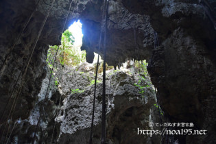 洞窟に根を張るガジュマル-ヌドゥクビアブ