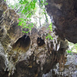 頭上に垂れ下がる植物と鍾乳石-ヌドゥクビアブ
