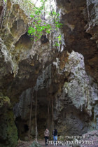 ガジュマルの根と鍾乳石-ヌドゥクビアブ