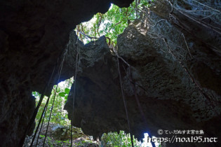 洞窟とガジュマルの気根-ヌドゥクビアブ