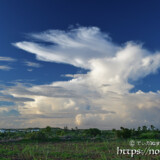 崩れかけの入道雲