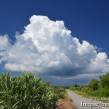 道を横切る入道雲