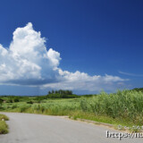 ぽっかりと浮かんだ入道雲