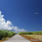 入道雲に向かって行く飛行機