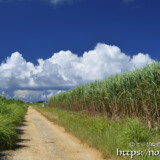道を横切る入道雲の行列