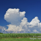 真夏の入道雲