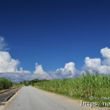 入道雲の子供たち