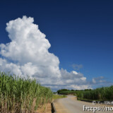 道の先に浮かぶ入道雲