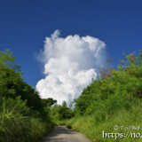 道の先にそびえる入道雲