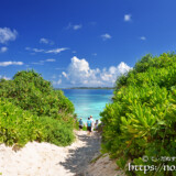 小道の先に見えるブルーの海