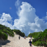 砂丘の先の入道雲