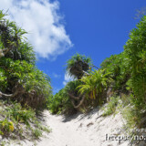 砂山ビーチからの帰り道