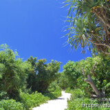 砂山ビーチへ続く小道