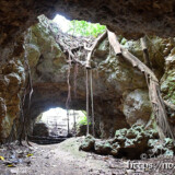 洞窟の出口に広がる独特の風景-牧山陣地壕
