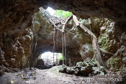 洞窟の出口に広がる独特の風景-牧山陣地壕