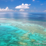 べた凪のサンゴ礁の海-三角点より-