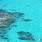 断崖の下のサンゴ礁-イグアナ岩より-