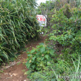 立入禁止の立て札-イグアナ岩-