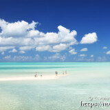 干潮時に現れる海の道