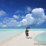 海の中にできた砂の道