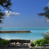 モクマオウの木陰にある海に面した拝所