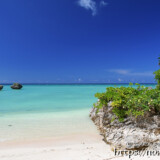 植物の生い茂る岩場と青い海