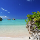 植物の生い茂る岩場と青い海