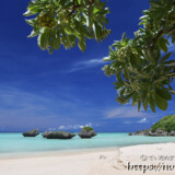 モンパの木陰で見るビーチと青い海