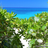 小道の先に見える青い海-長間浜-